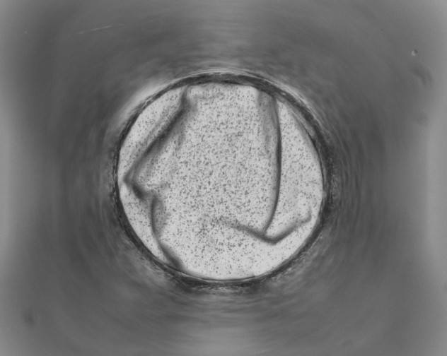 X0000111501359200908111237