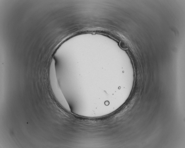 X0000111501361200908111237