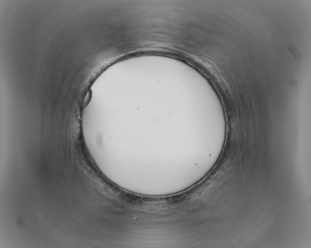 X0000111501363200908111237