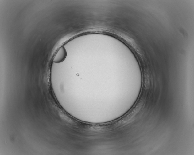 X0000111501366200908111237