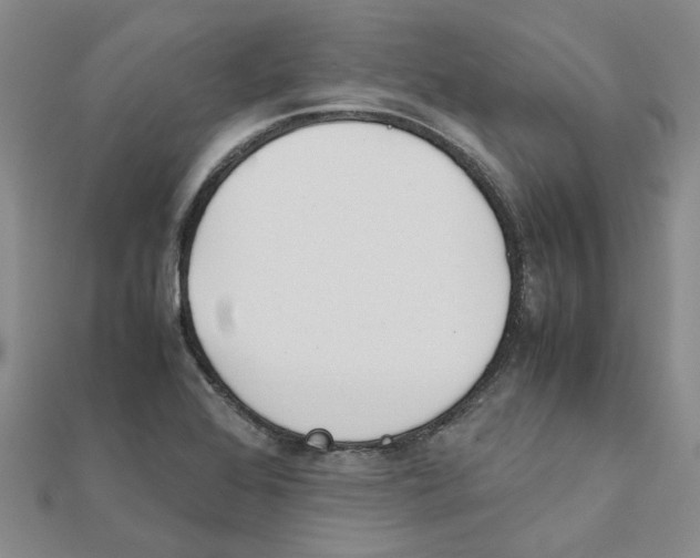 X0000111501368200908111237