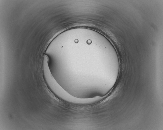 X0000111501369200908111237