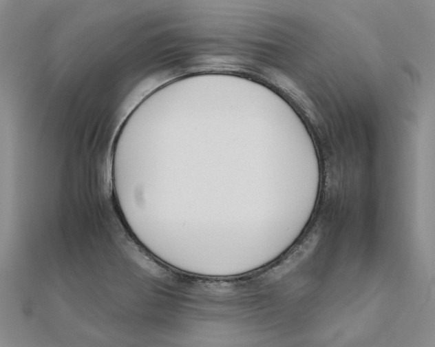 X0000111501370200908111237