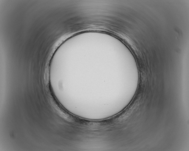 X0000111501371200908111237