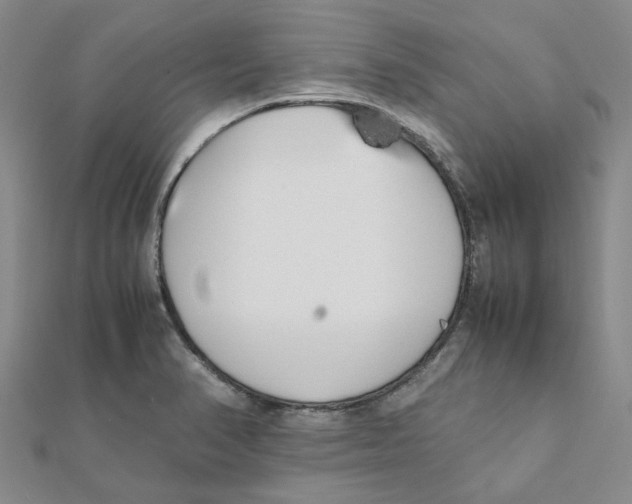 X0000111501374200908111237