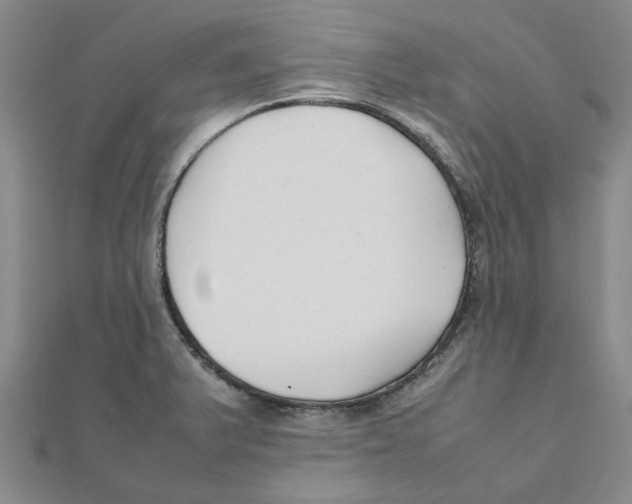 X0000111501375200908111237