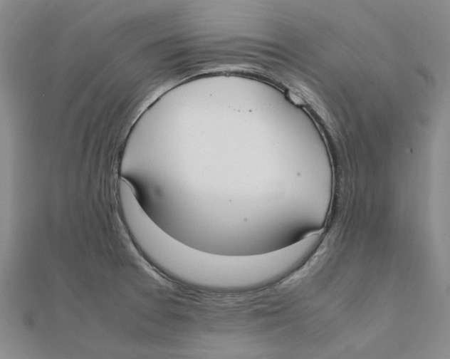 X0000111501377200908111237