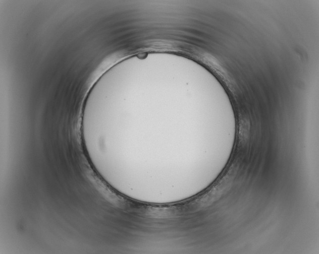 X0000111501378200908111237