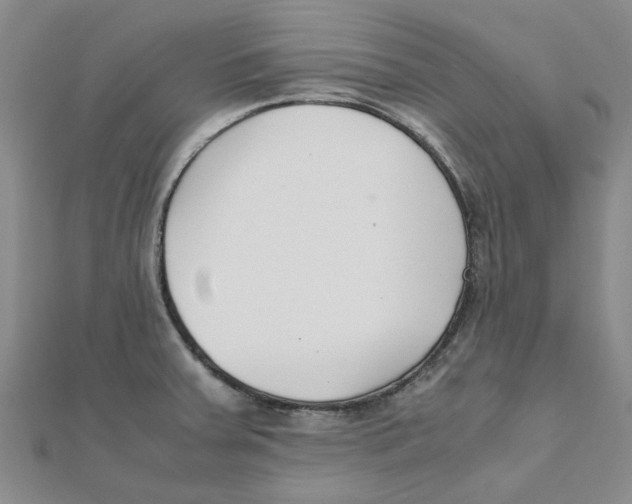 X0000111501379200908111237