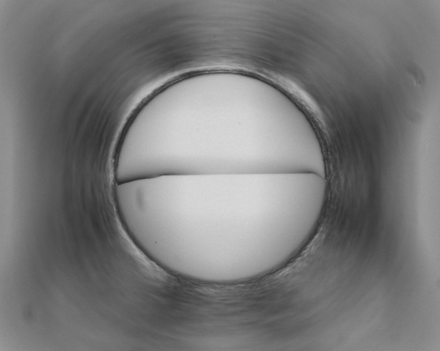 X0000111501380200908111237