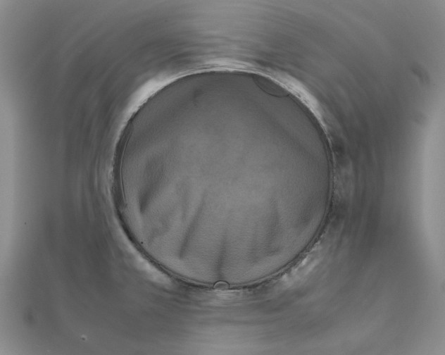 X0000111501381200908111237