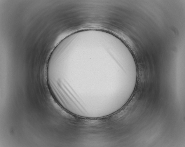 X0000111501382200908111237