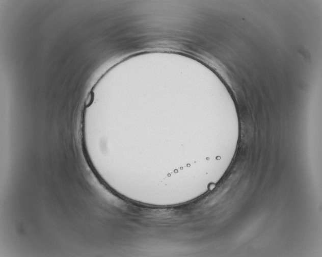 X0000111501387200908111237