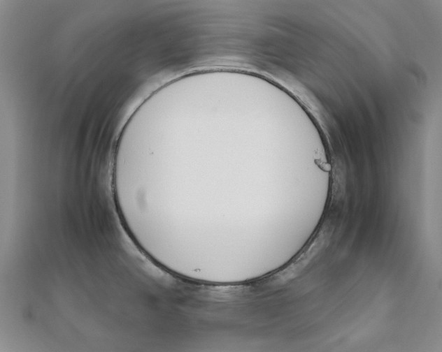 X0000111501390200908111236