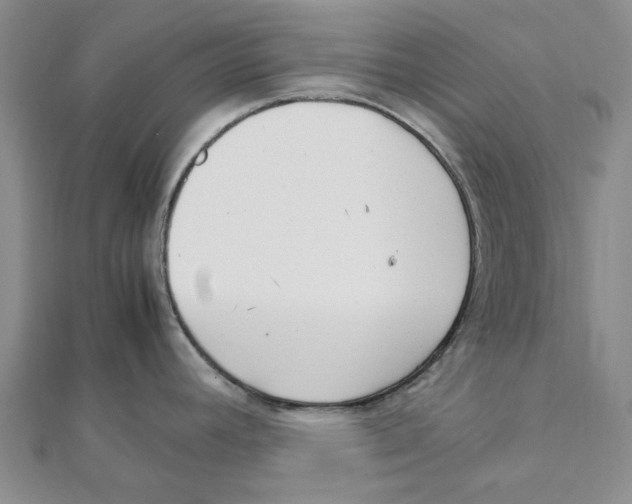 X0000111501392200908111236