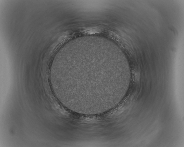 X0000111501393200908111236