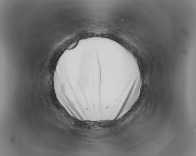 X0000111501398200908111236