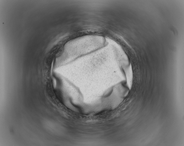 X0000111501399200908111236