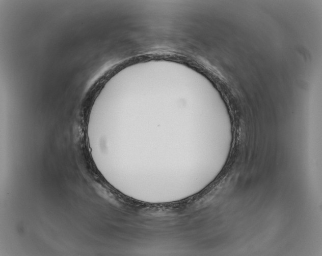 X0000111501400200908111236