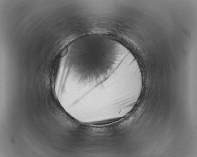 X0000111501401200908111236