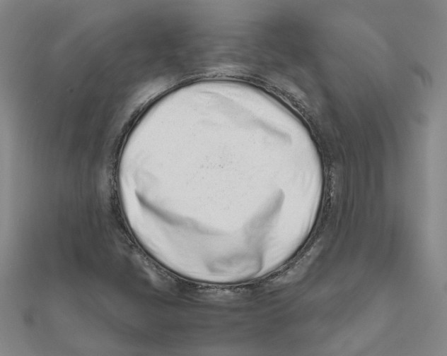 X0000111501405200908111236