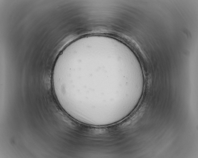 X0000111501409200908111236