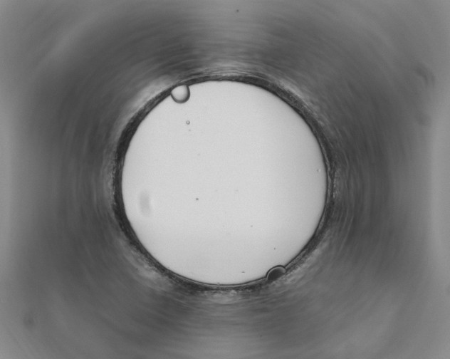 X0000111501410200908111236