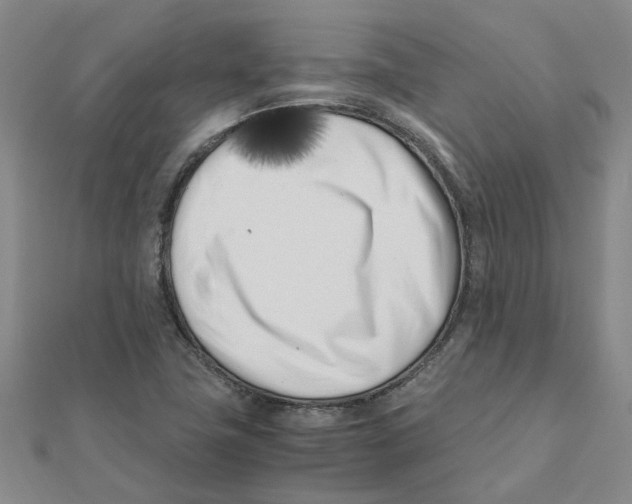 X0000111501411200908111236