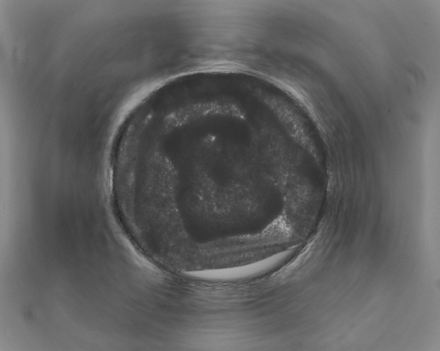 X0000111501414200908111236