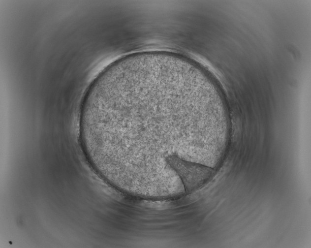 X0000111501415200908111236