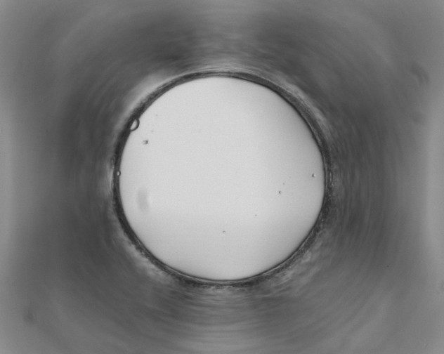 X0000111501416200908111236