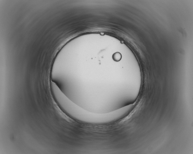 X0000111501417200908111236