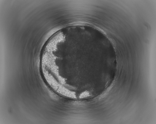 X0000111501418200908111236