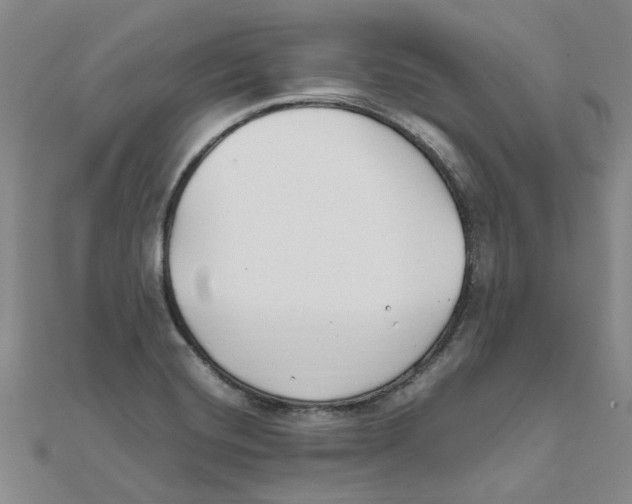 X0000111501420200908111236