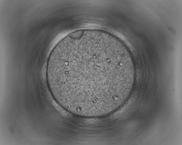 X0000111501421200908111236