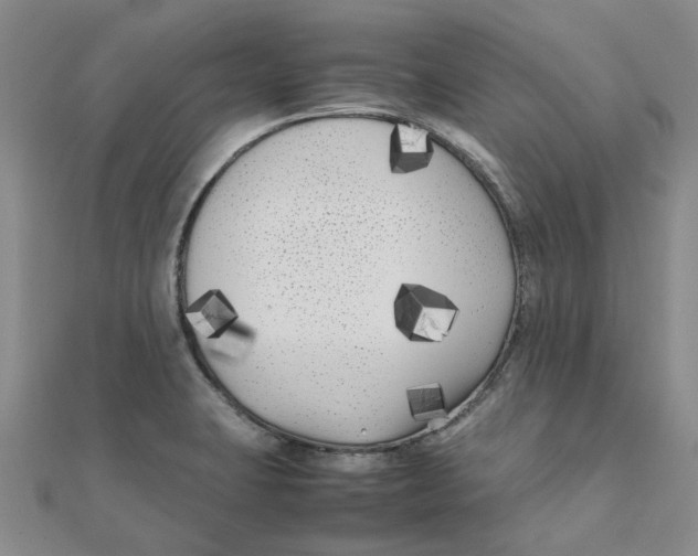 X0000111501423200908111236