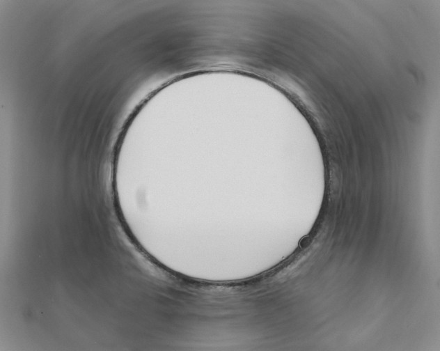 X0000111501424200908111236