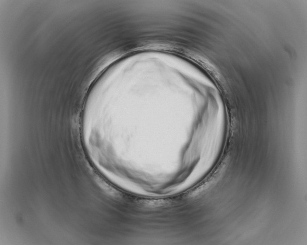 X0000111501425200908111236