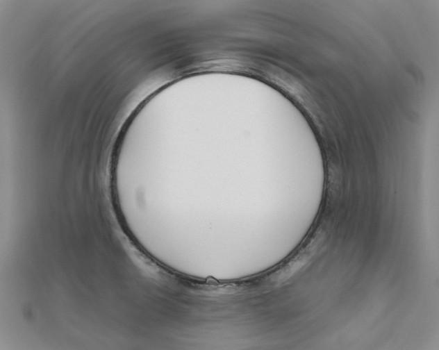 X0000111501426200908111236