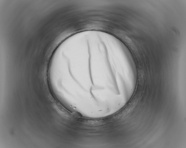 X0000111501427200908111236