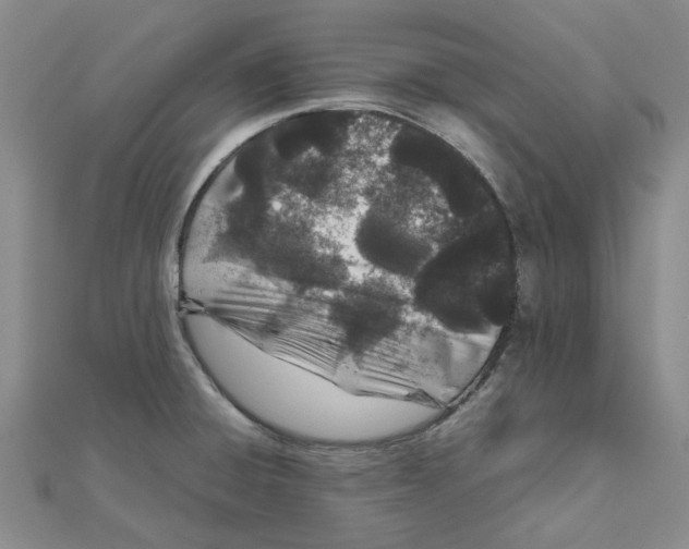 X0000111501428200908111236