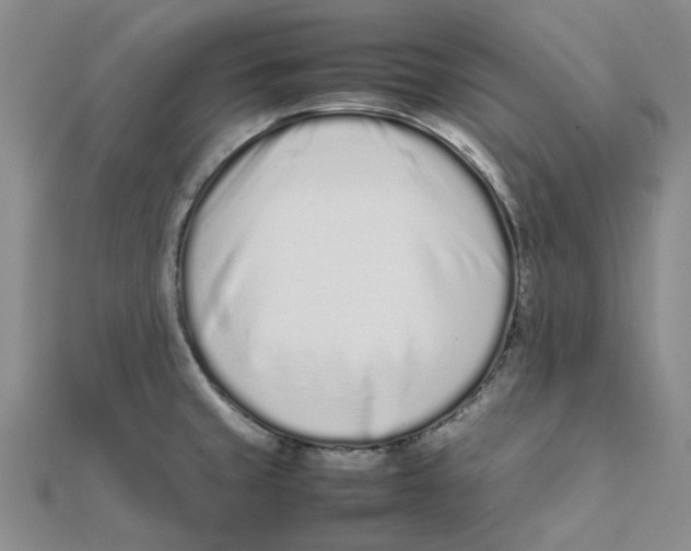 X0000111501429200908111236