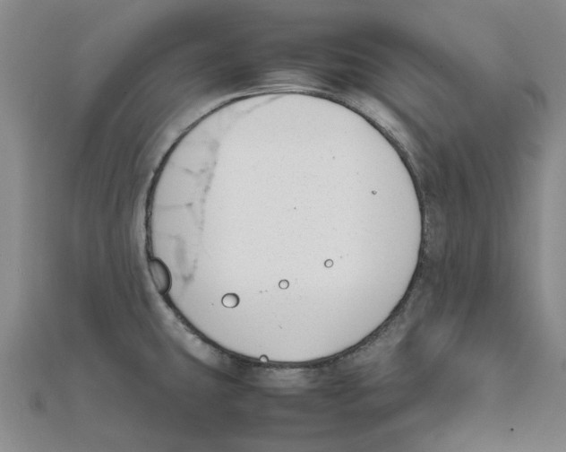 X0000111501431200908111236