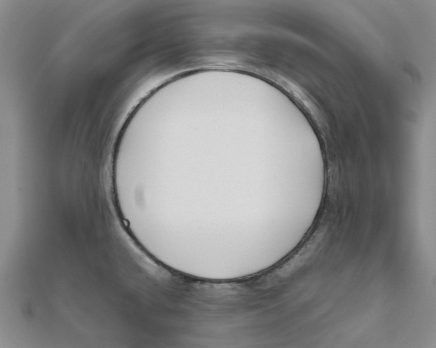 X0000111501432200908111236