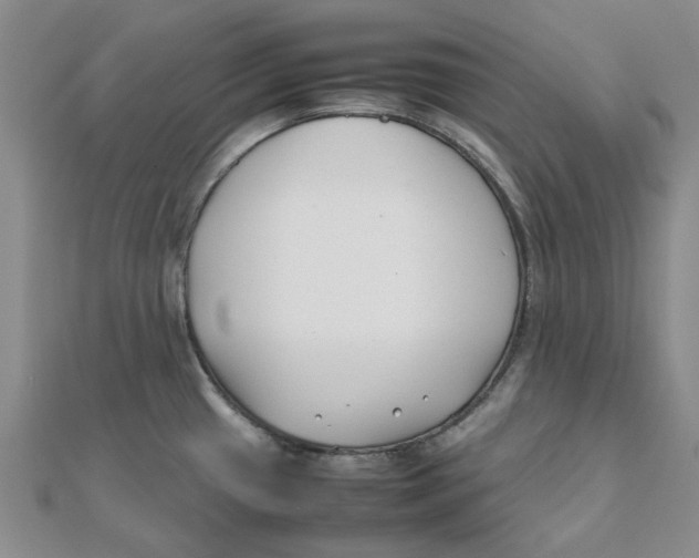 X0000111501433200908111236