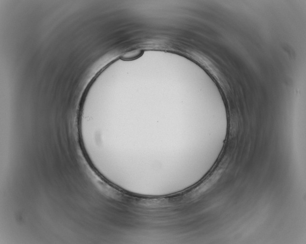 X0000111501434200908111236