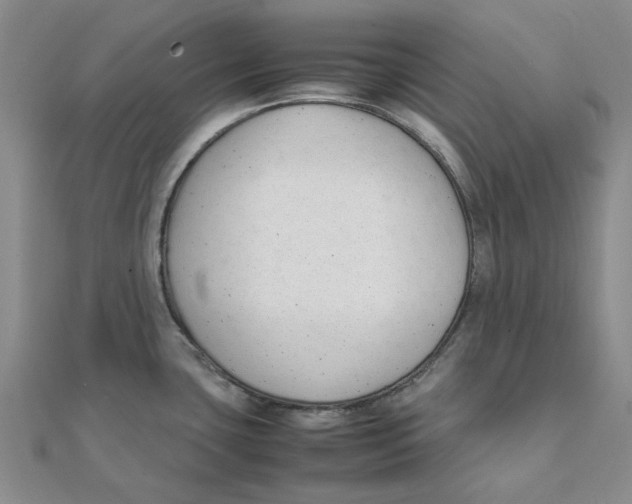 X0000111501435200908111236