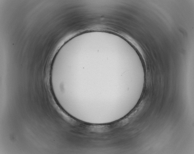 X0000111501437200908111236