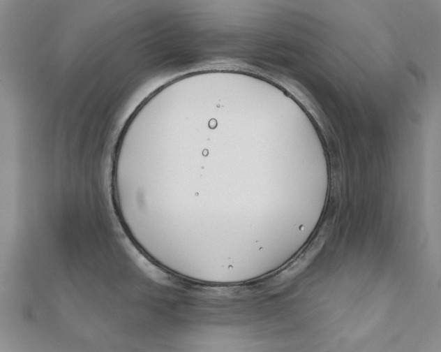 X0000111501438200908111236