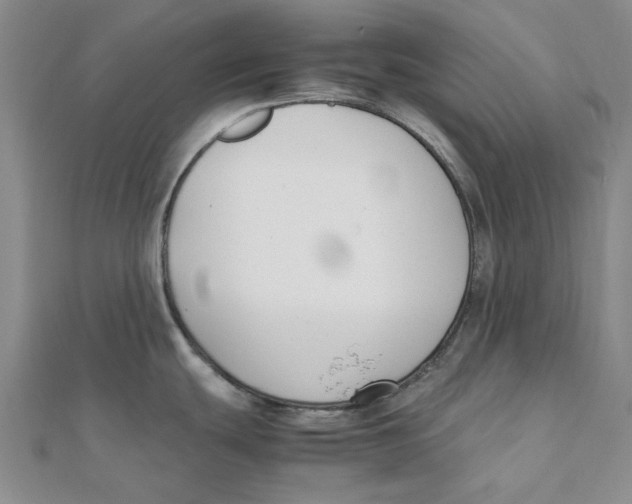 X0000111501439200908111236